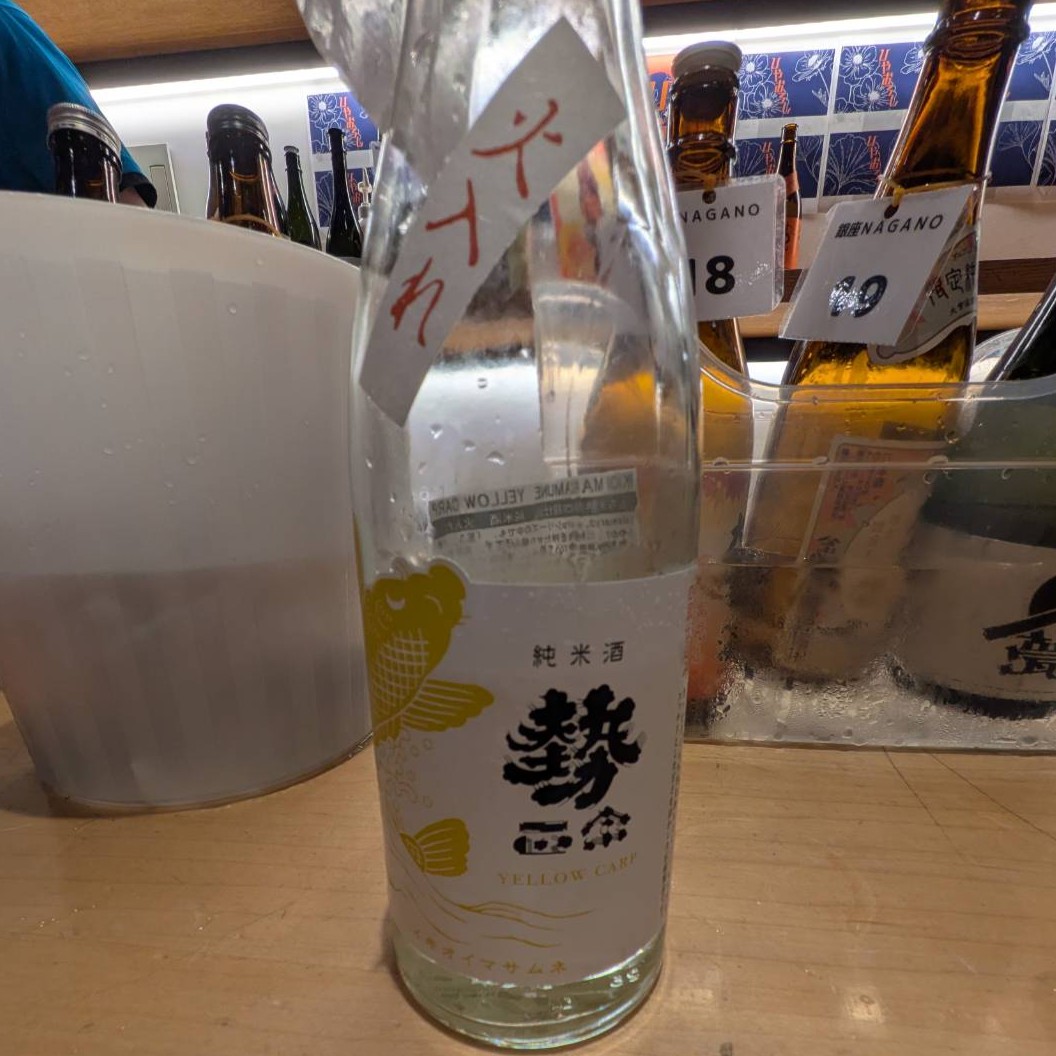 勢正宗 YELLOW CARP