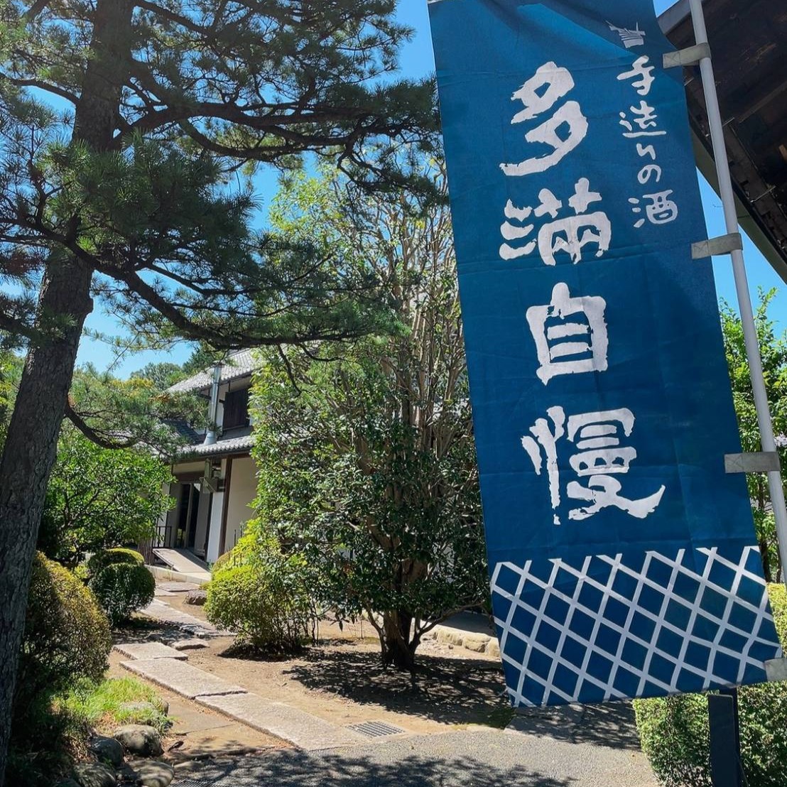 庭の松の脇に立つ、「手造りの酒 多満自慢」の青い幟