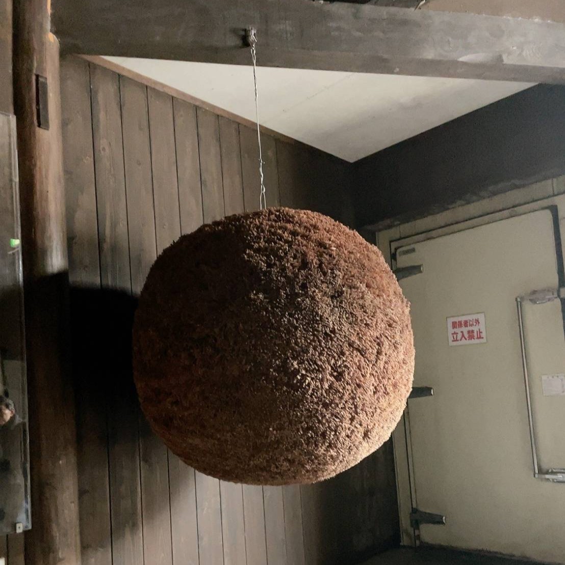 蔵の中に吊るされた大きな杉玉